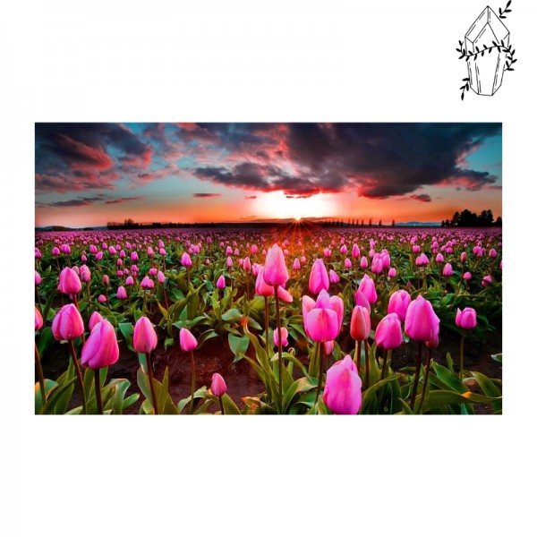 Broderie diamant Tulipe en fleurs et coucher de soleil